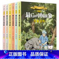 中国最后的战象漫画版(全6册) [正版]后的中国战象全套14册漫画版沈石溪动物小说全集7-12岁小学生三四五年级课外阅读