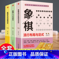 [正版]象棋书籍大全棋谱战术全套3册 象棋流行布局与定式+入门与技巧+杀法与残局功夫象棋棋谱象棋战术教程图实战技法开局与