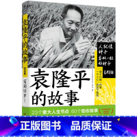 袁隆平的故事 [正版] 雷锋的故事 三年级四五六年级课外书阅读少年励志红色经典书籍小学生革命传统教育读本儿童文学读物