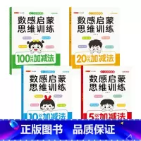 [数感启蒙大本]训练全套4本 [正版]大本幼儿数感启蒙练习册思维训练5/10/20/100以内加减法数学专项练习本幼儿园