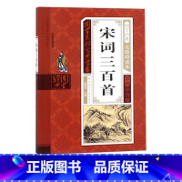 宋词三百首 [正版]幼儿早教启蒙书三字经唐诗三百首宋词全集彩图注音声律启蒙笠翁对韵弟子规千字文中华成语故事国学经典儿童书