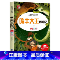 [彩图注音版]吹牛大王历险记 [正版]稻草人 小学生一二三年级阅读课外书必读彩图注音版经典古典世界名著班主任老师儿童文学
