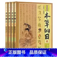 [正版]本草纲目彩图解析套装4册本草纲目李时珍原著全集选取中医中药良方书籍大全图解本草纲目彩图版中医入门医学全本拾遗 图