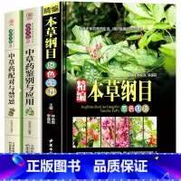 [正版]中医中草药书籍3册 精编本草纲目 中草药彩图大全 中草药配对与禁忌中草药鉴别与应用零基础学医养生调理医药药书自学