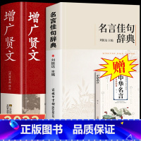 [赠中华名言]2册 名言佳句辞典+增广贤文 [正版]名言佳句辞典 名言警句 增广贤文 谚语歇后 古诗词 名人初中高中生