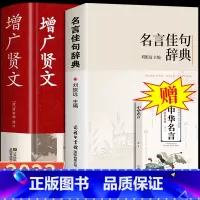 [赠中华名言]2册 名言佳句辞典+增广贤文 [正版]名言佳句辞典 名言警句 增广贤文 谚语歇后 古诗词 名人初中高中生