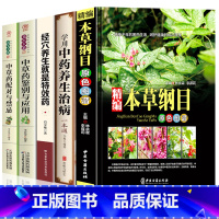 [正版]中医中草药书籍5册 精编本草纲目 中草药彩图大全 中药养生治病 中草药配对与禁忌中草药鉴别与应用零基础学医养生调