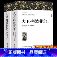 [上下册]大卫科波菲尔 [正版]高中课外阅读书籍书目 大卫科波菲尔 复活列夫托尔斯泰 老人与海 百年孤独完整版原著 高一