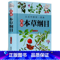 [正版]图解本草纲目中国药典中医基础理论入门书籍中医养生本草纲目白话译文版家庭实用中医验方中药方剂学