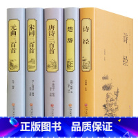 [正版]中华诗词大全5册 诗经 注译楚辞唐诗宋词元曲全集唐诗三百首宋词三百首元曲三百首中国古诗词鉴赏中华诗词大会备用书书