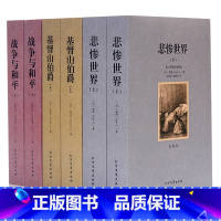 [正版]外国名著全译本 基督山伯爵 战争与和平 基督山伯爵 外国名著 外国名著 小说课外书青少年书 图书籍 中外