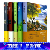 [正版]外国名著套装5册 神秘岛 苦儿流浪记 昆虫记 草原上的小木屋 金银岛 凡尔纳 初中高中生课外读物外国文学名著小说