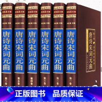 [正版]唐诗宋词元曲全集全唐诗鉴赏辞典赏析宋词三百首唐宋词宋诗精选李煜陆游辛弃疾苏东坡苏轼诗词杜甫李清照诗词集古诗词大全