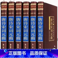 [正版]唐诗宋词元曲全集全唐诗鉴赏辞典赏析宋词三百首唐宋词宋诗精选李煜陆游辛弃疾苏东坡苏轼诗词杜甫李清照诗词集古诗词大全