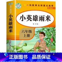 [六年级上]小英雄雨来 [正版]全套4册 六年级下册的课外书鲁滨逊漂流记汤姆索亚历险记骑鹅旅行记鲁滨逊漂游记快乐读书吧六