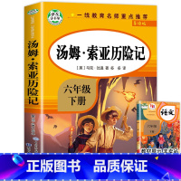 [六年级下]汤姆索亚历险记 [正版]全套4册 六年级下册的课外书鲁滨逊漂流记汤姆索亚历险记骑鹅旅行记鲁滨逊漂游记快乐读书