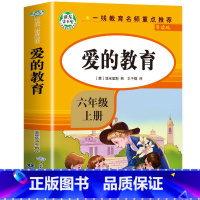 [六年级上]爱的教育 [正版]全套4册 六年级下册的课外书鲁滨逊漂流记汤姆索亚历险记骑鹅旅行记鲁滨逊漂游记快乐读书吧六下