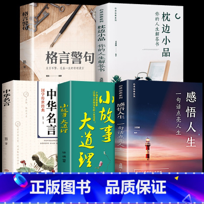 [正版]全5册感悟人生 一句话点亮人生大智慧修身处世生命感悟心灵修养人生格言每日成人文学励志书籍排行榜感悟人生书籍