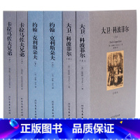 [正版]外国名著套装6册约翰克利斯朵夫 卡拉马佐夫兄弟 大卫科波菲尔足本无删节文学小说书全译中文版成人青少年图书籍