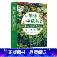 [正版]书袖珍中草药野外识别图鉴 **版 药用植物鉴别中*植物志 中华本草 中医药医师研究人员学生中草药爱好者参考工具