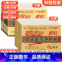 [浙教版]七上科学 七年级/初中一年级 [正版]2024版 七年级上册下册试卷测试卷全套人教版北师 聚能闯关期末复习冲刺