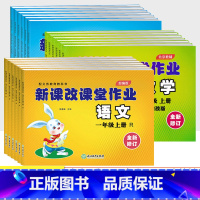 英语[北京版] 三年级上 [正版]北京专版新课改课堂作业一二三四五六年级上册下册语文数学英语同步训练全套北京版小学123
