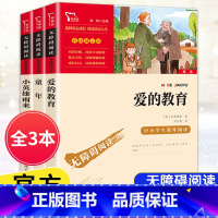 [六年级上册]全套3本 [正版]快乐读书吧六6年级上册下册小英雄雨来爱的教育童年鲁滨逊漂流记爱丽丝漫游仙境尼尔斯骑鹅旅行