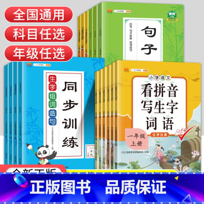 单本]练字帖 二年级上 [正版]看拼音写词语一二三四五六年级上册下册小学语文拼音拼读同步训练生字注音组词造句仿写句子专项