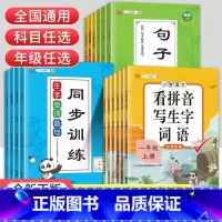 3本套装]组词造句+句子+近义词 一年级下 [正版]看拼音写词语一二三四五六年级上册下册小学语文拼音拼读同步训练生字注音