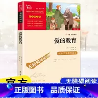 [六年级上册]爱的教育 [正版]快乐读书吧六6年级上册下册小英雄雨来爱的教育童年鲁滨逊漂流记爱丽丝漫游仙境尼尔斯骑鹅旅行