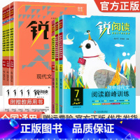 现代文阅读巅峰训练 八年级/初中二年级 [正版]锐阅读 初中现代文阅读巅峰训练七年级八年级中考阅读考点初中生初一初二初三
