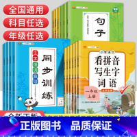 4本套装]看拼音+练字帖+阅读+组词 二年级上 [正版]看拼音写词语一二三四五六年级上册下册小学语文拼音拼读同步训练生字