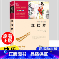 [五年级下]红楼梦 [正版]四大名著原著全套4册小学生版西游记红楼梦三国演义水浒传儿童青少年版5年级五下快乐读书吧五年级