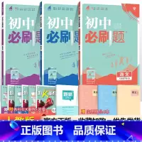 [人教版]八下语数英3本 八年级/初中二年级 [正版]2024初中八年级上册下册语文数学英语物理政治历史地理生物全套人教