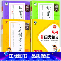 归类复习+句式+阅读+积累[全套4本] 五年级下 [正版]2023秋小学53单元归类复习一年级二年级三四五六年级上册下册