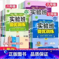 [人教版]语数英物化5本 九年级下 [正版]2023春雨实验班提优训练七八九上册下册语文数学英语物理化学政治历史人教版全