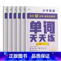 [PET-水平]5级上册 小学通用 [正版]2023版学而思零基础英语套装哈佛外教英语天天练小学英语入门学习强化训练单词