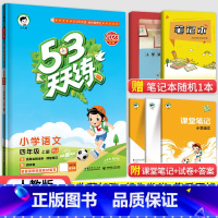 53天天练四年级上册语文(人教版) 小学四年级 [正版]2023秋新版小学53天天练四4年级上册下册同步训练语文数学英语