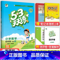 53天天练四年级下册数学(西师版) 小学四年级 [正版]2023秋新版小学53天天练四4年级上册下册同步训练语文数学英语