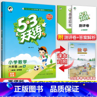 53天天练六年级上册数学(西师版) 小学六年级 [正版]2023秋新版小学53天天练六6年级上册下册同步训练语文数学英语