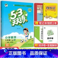 53天天练六年级下册数学(西师版) 小学六年级 [正版]2023秋新版小学53天天练六6年级上册下册同步训练语文数学英语