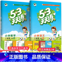 53天天练二年级下语数2本(人教版) 小学二年级 [正版]2023秋新版 小学53天天练二2年级上册下册同步训练语文数学