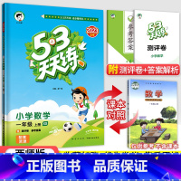 53天天练一年级上册数学(西师版) 小学一年级 [正版]2023秋新版小学53天天练一年级上册下册同步训练语文数学全套人