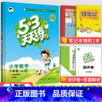 53天天练六年级下册数学(人教版) 小学六年级 [正版]2023秋新版小学53天天练六6年级上册下册同步训练语文数学英语