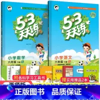 53天天练六年级下语数2本(西师版) 小学六年级 [正版]2023秋新版小学53天天练六6年级上册下册同步训练语文数学英