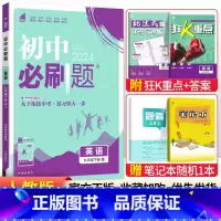 [人教版]九年级下册英语 九年级/初中三年级 [正版]2024初中必刷题九年级上册下册语文数学英语物理化学政治历史全套人