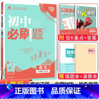 [人教版]九年级上册语文 九年级/初中三年级 [正版]2024初中必刷题九年级上册下册语文数学英语物理化学政治历史全套人