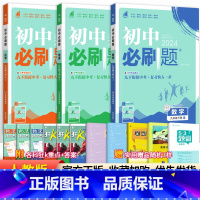 [人教版]九下数物化3本 九年级/初中三年级 [正版]2024初中必刷题九年级上册下册语文数学英语物理化学政治历史全套人