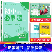 [人教版]九年级下册物理 九年级/初中三年级 [正版]2024初中必刷题九年级上册下册语文数学英语物理化学政治历史全套人