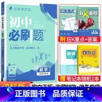 [沪科版]九年级下册数学 九年级/初中三年级 [正版]2024初中必刷题九年级上册下册语文数学英语物理化学政治历史全套人